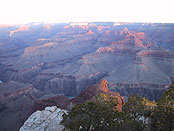 写真：植物の緑とグレーやピンクの岩の対比が美しい朝焼けのグランドキャニオン