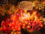 写真：スキポールの花屋