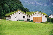 写真：屋根に草のある家々