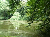 写真：クロムニェジーシュの庭園の池
