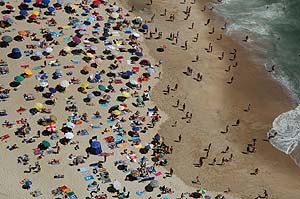 写真：整然と並んだビーチパラソル