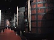 写真：立ち並ぶワインの大きな樽